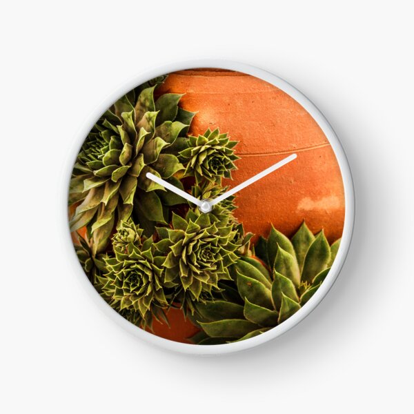 Item preview, Succulent and Terracotta designed and sold by ChelleCreate.