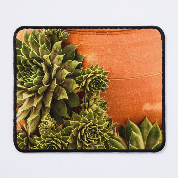 Item preview, Succulent and Terracotta designed and sold by ChelleCreate.