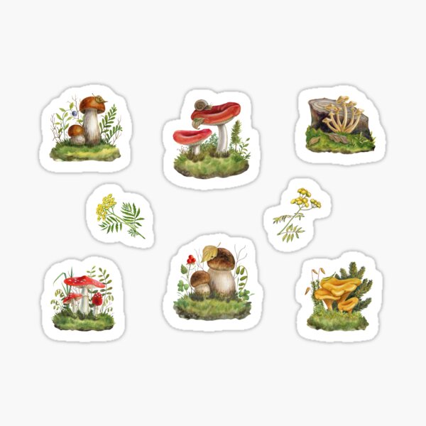 Artikel-Vorschau von Wilde Waldpilze, Beeren und Pflanzen, designt und verkauft von silviaol.