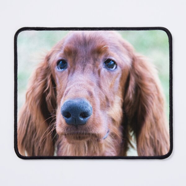 Item preview, red dog designed and sold by MoreGoodArt.