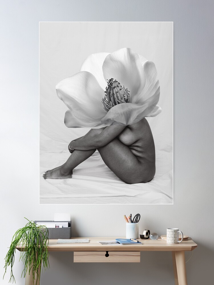 Magnolia Poster