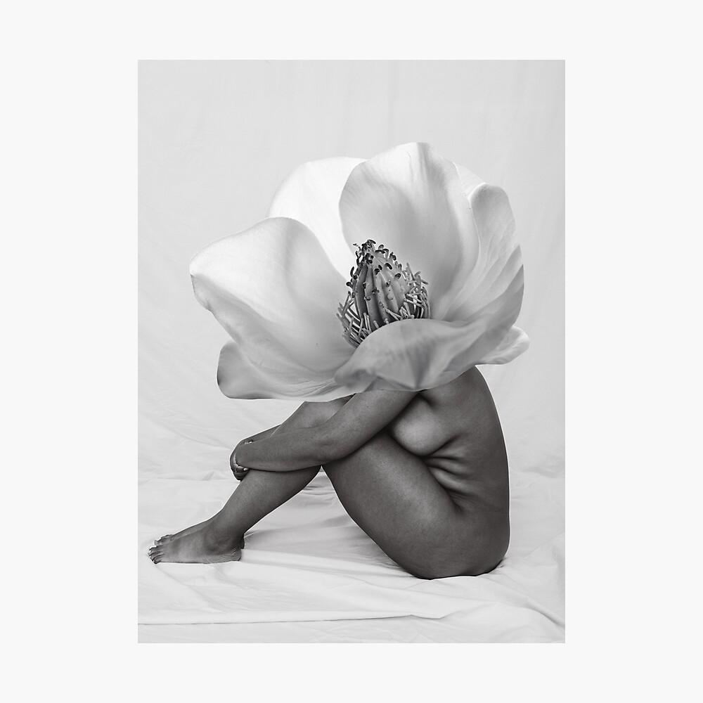 Magnolia Poster