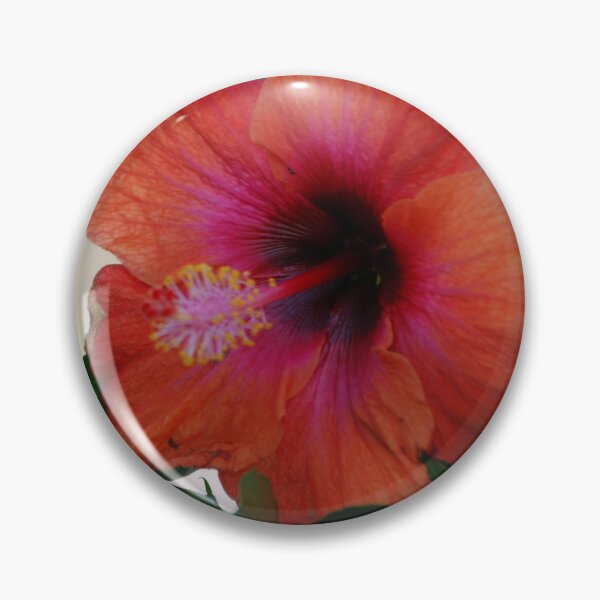 Item preview, Hibiscus #1 designed and sold by treborbob.