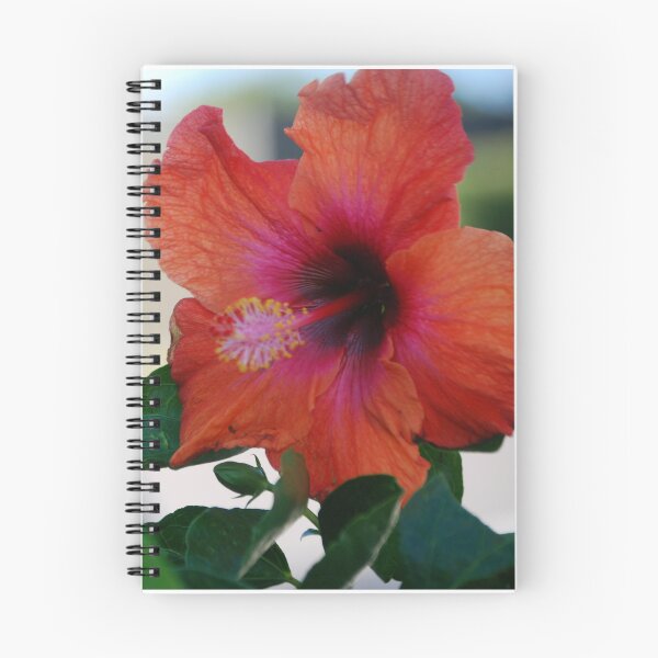 Item preview, Hibiscus #1 designed and sold by treborbob.