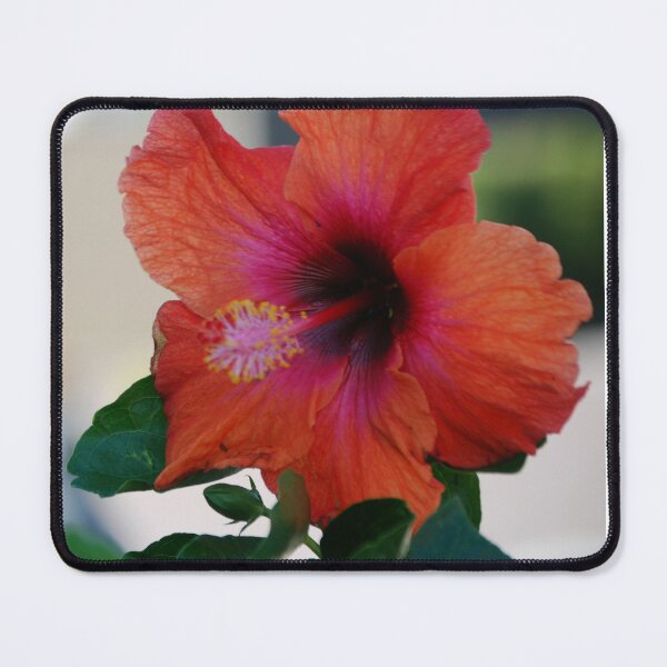 Item preview, Hibiscus #1 designed and sold by treborbob.