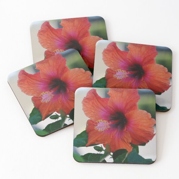 Item preview, Hibiscus #1 designed and sold by treborbob.
