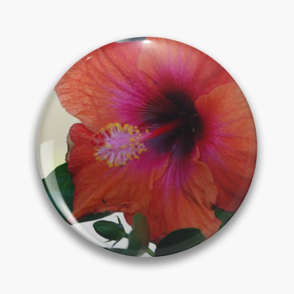 Item preview, Hibiscus #2 designed and sold by treborbob.