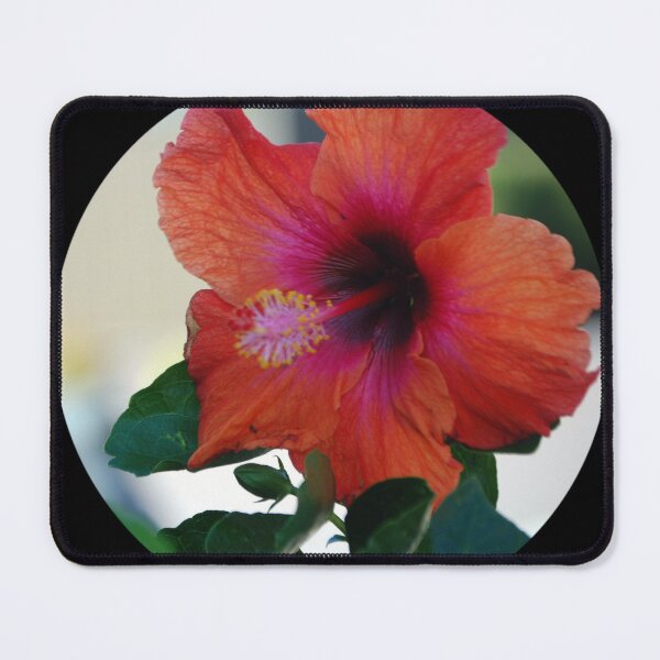 Item preview, Hibiscus #2 designed and sold by treborbob.