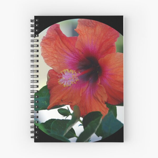 Item preview, Hibiscus #2 designed and sold by treborbob.