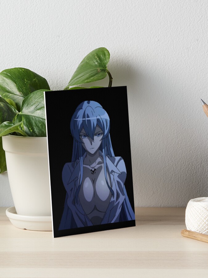 Esdeath Akame Ga Kill Anime Girl Gift | Art Board Print