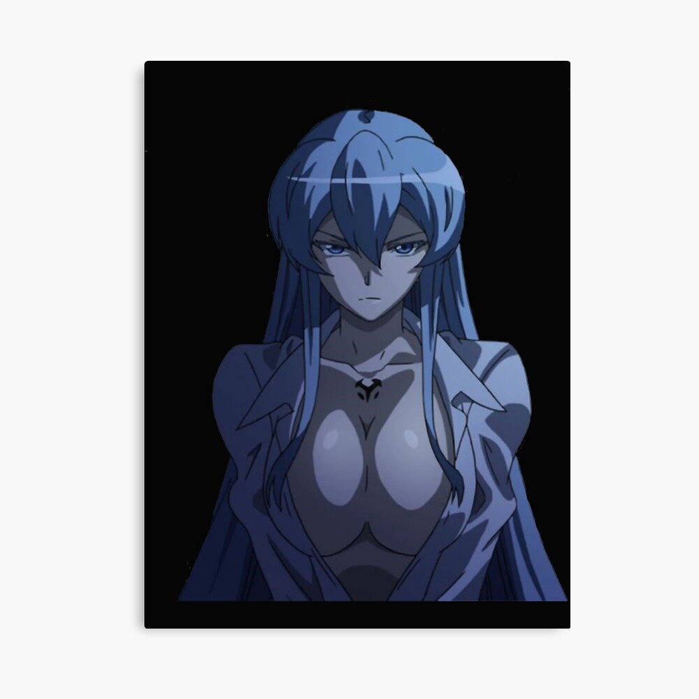 AKAME GA KILL General Esdeath - ANIME