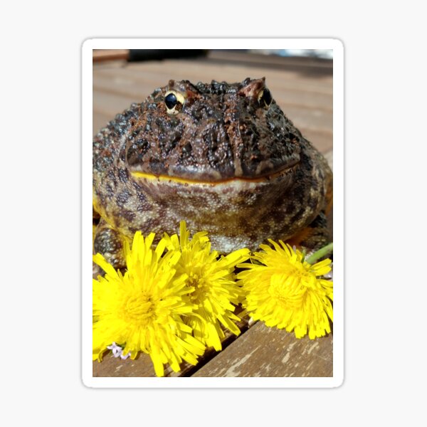 Item preview, Face  designed and sold by LimetheFrog.