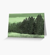 Spruce Trees Greeting Card
