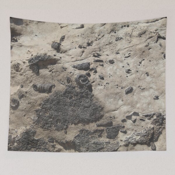 Item preview, Falls of the Ohio Fossil Hunter 05 designed and sold by Relics Of The Day.