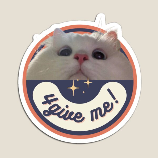 Big Floppa Meme Cat T-Shirt  Videos graciosos de animales, Fotografías  divertidas de animales, Perros disfrazados