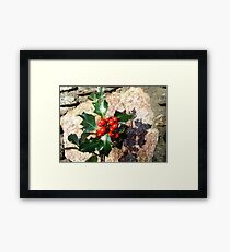 Holly Framed Print