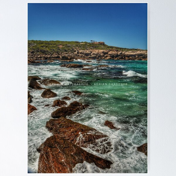 Item preview, Leeuwin Naturaliste designed and sold by garts.
