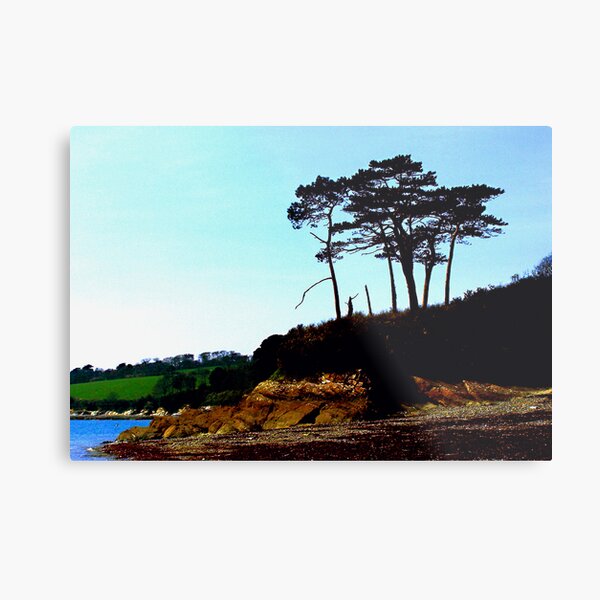 Lone Trees Metal Print
