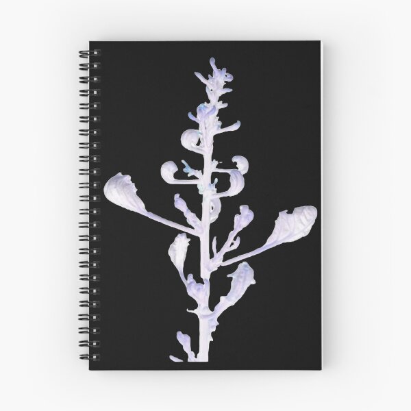Aperçu de l'œuvre .Fleur créée et vendue par GesielAS.