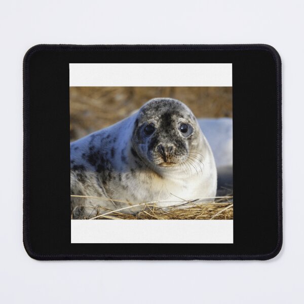 Item preview, Grey seal pup Sleeveless Top designed and sold by cruseqrsamse.