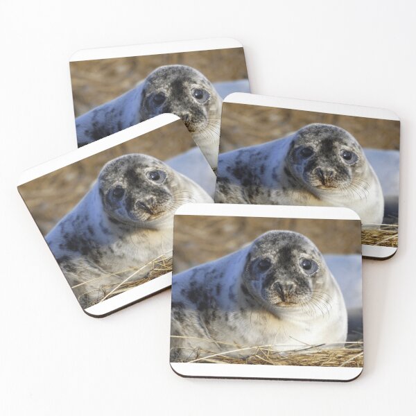 Item preview, Grey seal pup Sleeveless Top designed and sold by cruseqrsamse.