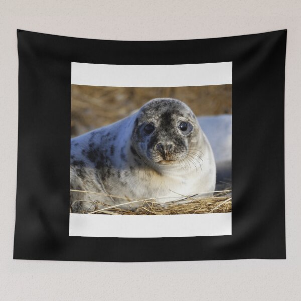 Item preview, Grey seal pup Sleeveless Top designed and sold by cruseqrsamse.