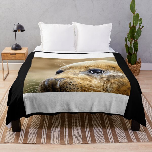 Item preview, Grey seal up close Graphic . designed and sold by cruseqrsamse.