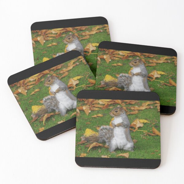 Item preview, grey squirrel  Premium . designed and sold by cruseqrsamse.