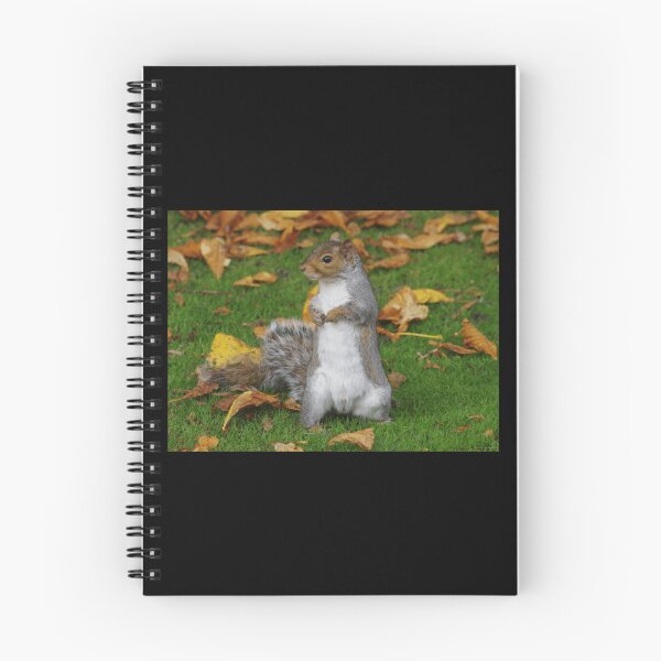 Item preview, grey squirrel  Premium . designed and sold by cruseqrsamse.