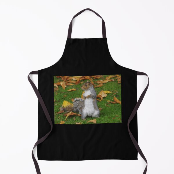 Item preview, grey squirrel Premium . designed and sold by cruseqrsamse.