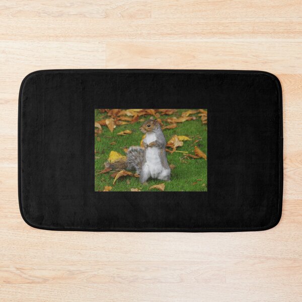 Item preview, grey squirrel  Premium . designed and sold by cruseqrsamse.
