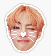 Pegatina Etiqueta engomada de BTS V