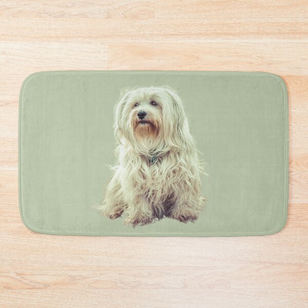 Item preview, Long Hair Havanese designed and sold by RainbowSpinkle.