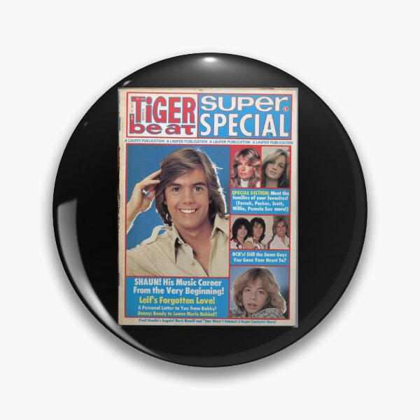 Item preview, Shaun Cassidy Hardy Boys designed and sold by shopMMMMI.