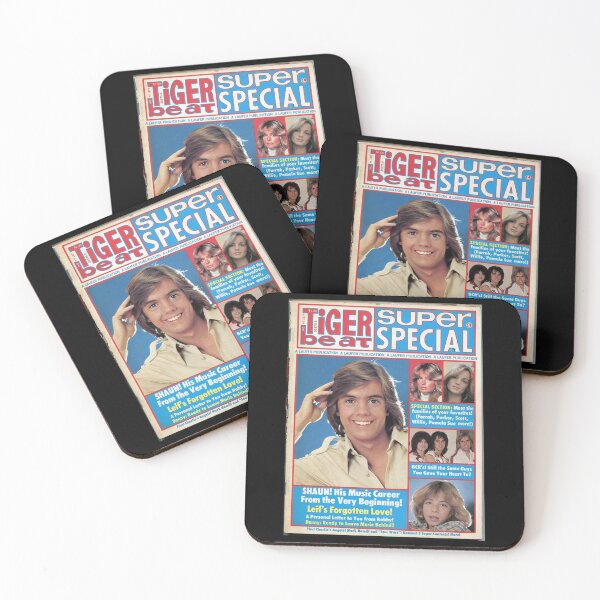 Item preview, Shaun Cassidy Hardy Boys designed and sold by shopMMMMI.