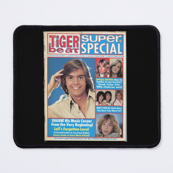 Item preview, Shaun Cassidy Hardy Boys designed and sold by shopMMMMI.