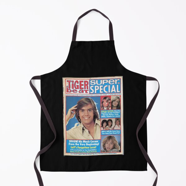 Item preview, Shaun Cassidy Hardy Boys designed and sold by shopMMMMI.