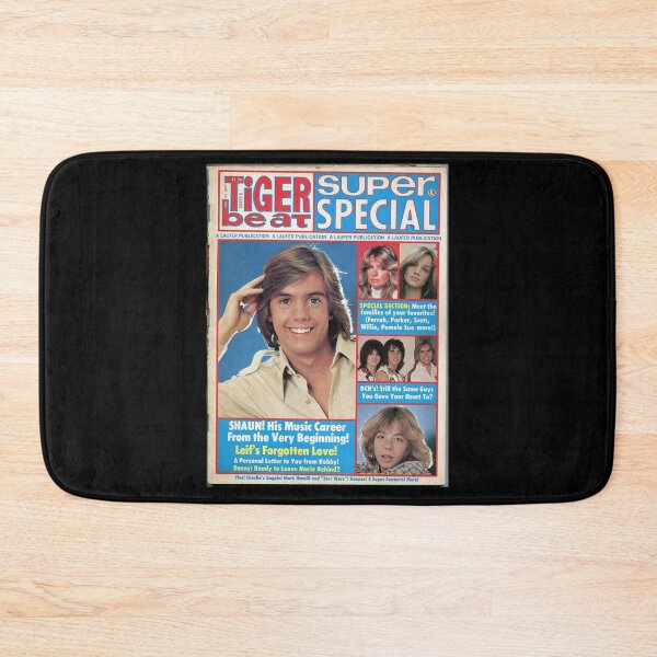 Item preview, Shaun Cassidy Hardy Boys designed and sold by shopMMMMI.