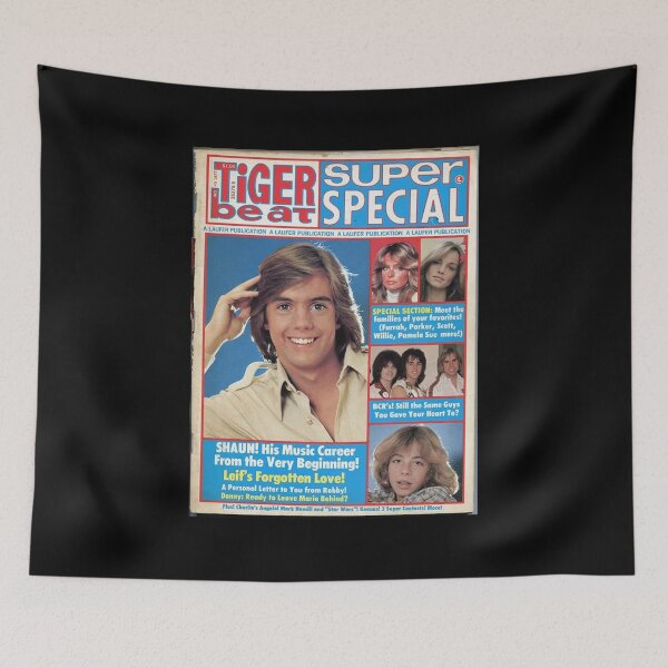 Item preview, Shaun Cassidy Hardy Boys designed and sold by shopMMMMI.