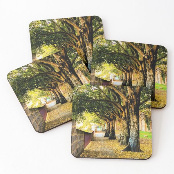 Item preview, Autumn in Spain 2 designed and sold by cheese6623.