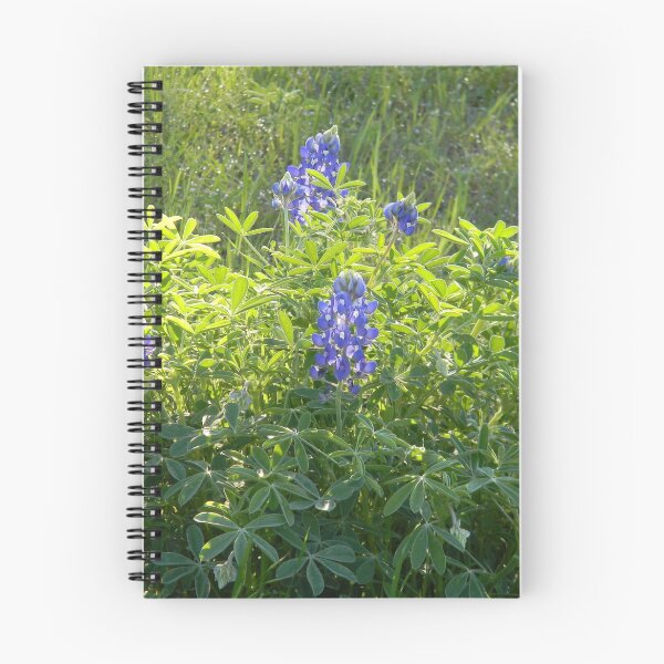 Item preview, Bluebonnets designed and sold by Navigator.