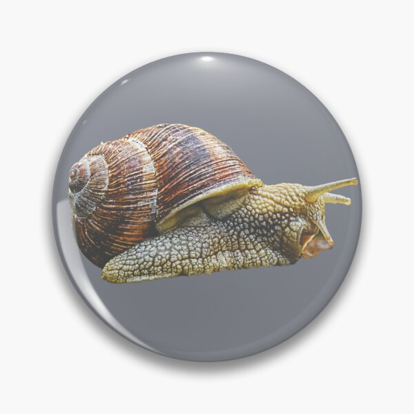 Item preview, Little Snail designed and sold by RainbowSpinkle.