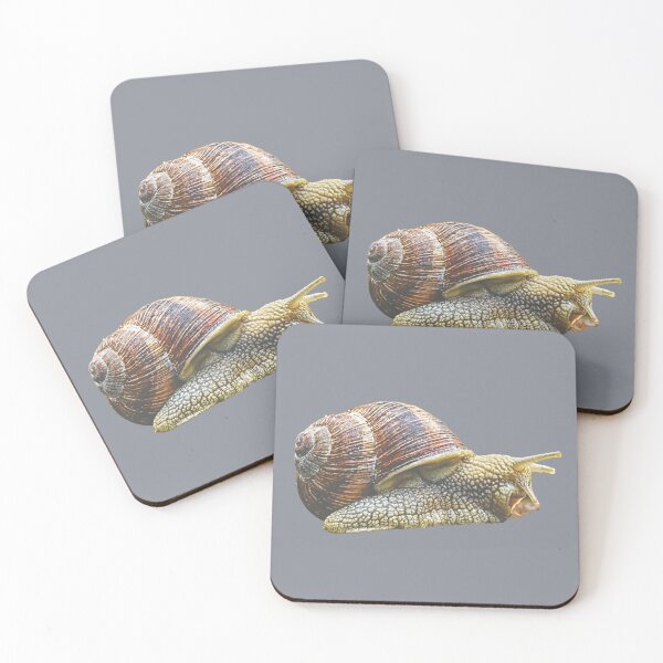Item preview, Little Snail designed and sold by RainbowSpinkle.