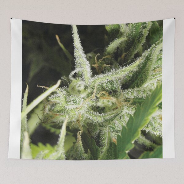 Item preview, Trichome 4 designed and sold by Trichome.