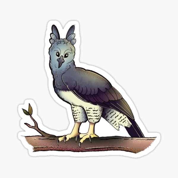 Harpy Eagle Sticker for Sale by alandodrawing