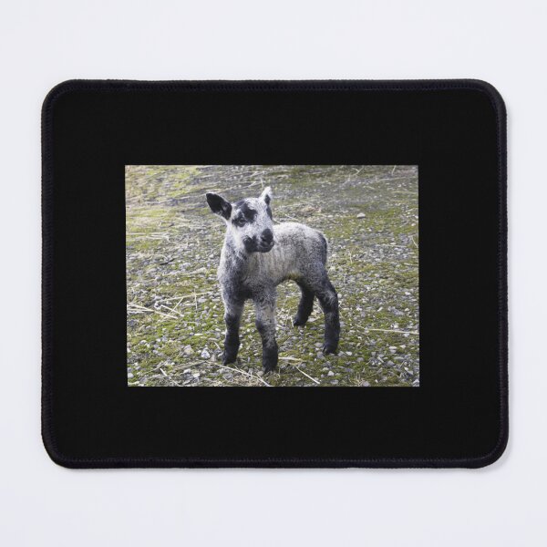 Item preview, Lamb Classic . designed and sold by burmanybmorg.