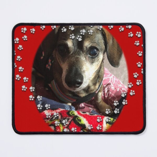 Item preview, Faithful Friend designed and sold by ChaChings.