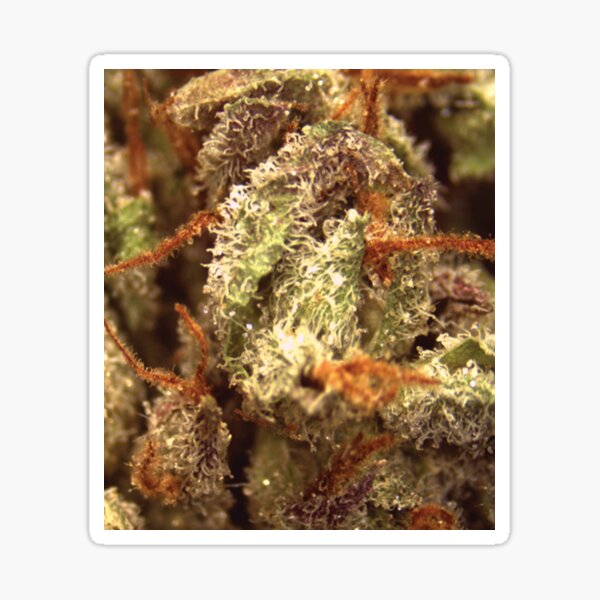 Item preview, Trichome 5 designed and sold by Trichome.