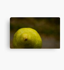 Pear Canvas Print