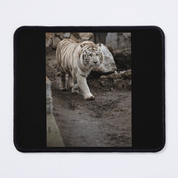 Item preview, White tiger Classic . designed and sold by tornerkanuan.